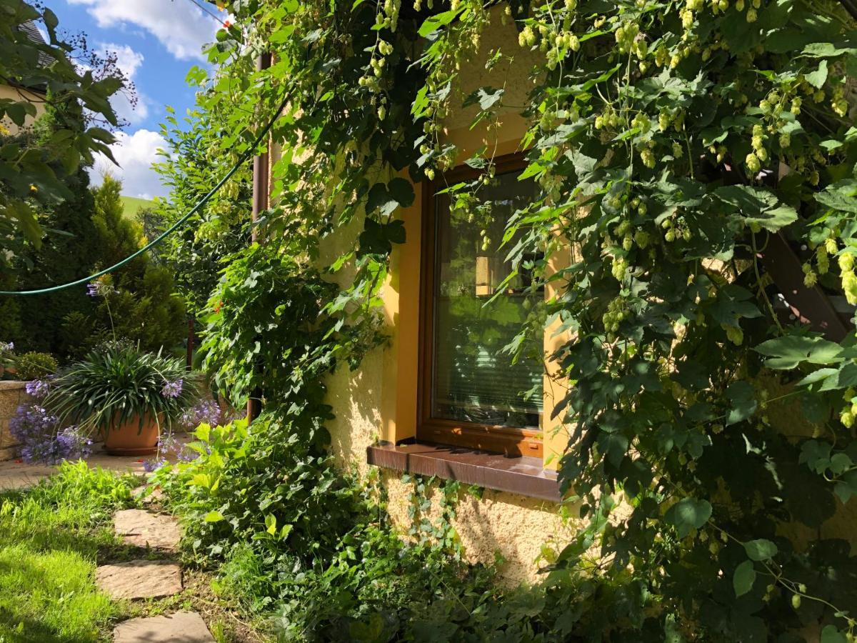 Ferienhaus Erzgebirge "An Der Trebe" Mit Kamin Und Sauna Neuhausen/Erzgeb. Kültér fotó