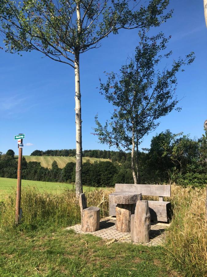 Ferienhaus Erzgebirge "An Der Trebe" Mit Kamin Und Sauna Neuhausen/Erzgeb. Kültér fotó