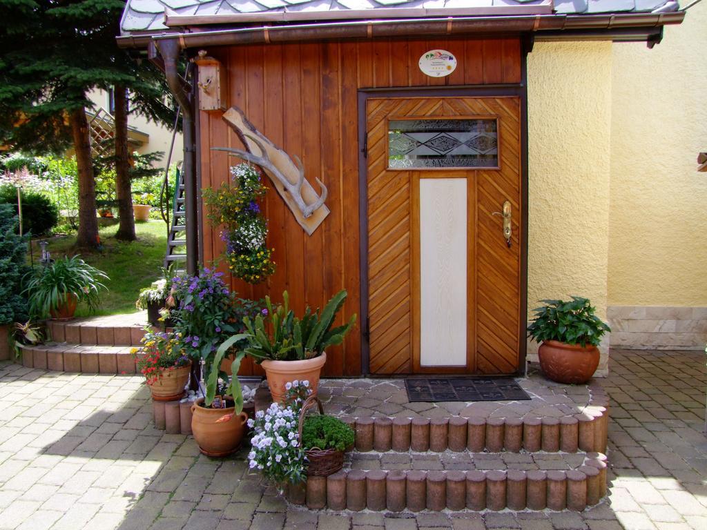 Ferienhaus Erzgebirge "An Der Trebe" Mit Kamin Und Sauna Neuhausen/Erzgeb. Szoba fotó
