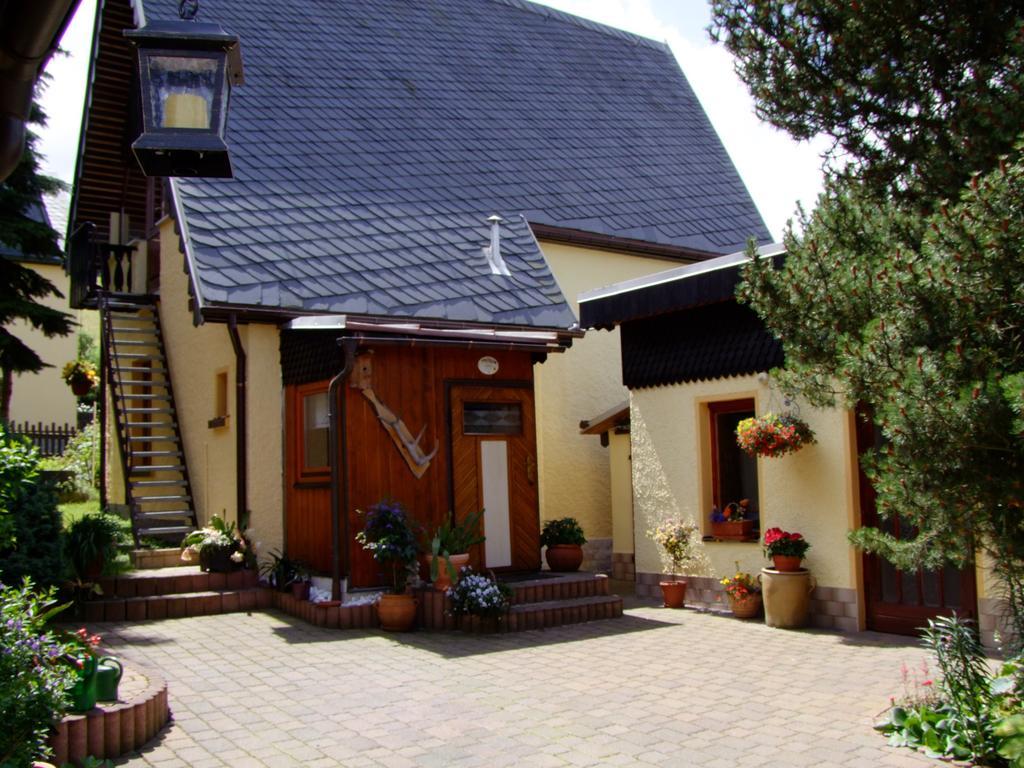 Ferienhaus Erzgebirge "An Der Trebe" Mit Kamin Und Sauna Neuhausen/Erzgeb. Szoba fotó