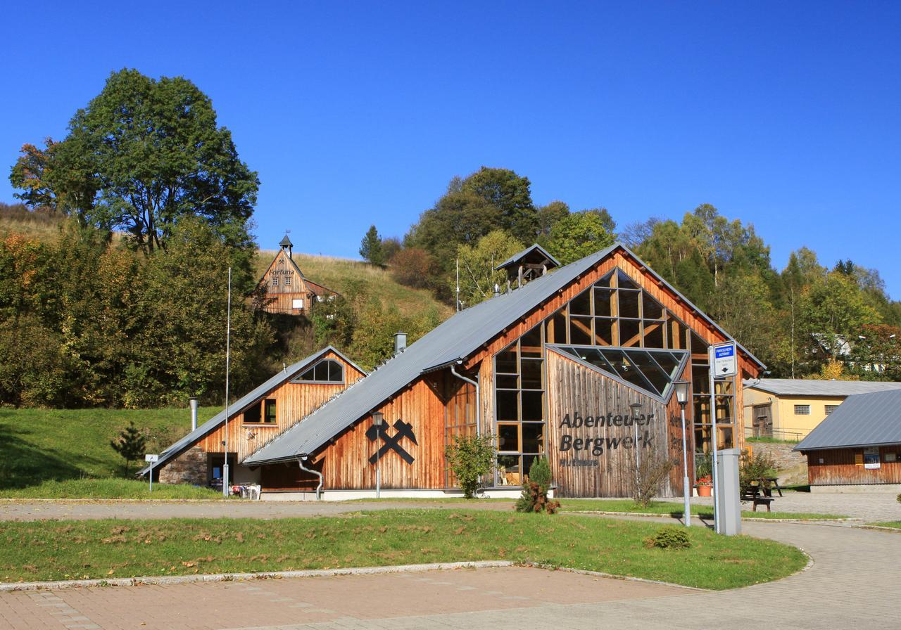 Ferienhaus Erzgebirge "An Der Trebe" Mit Kamin Und Sauna Neuhausen/Erzgeb. Kültér fotó